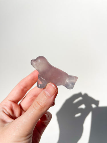 Lavender Fluorite Seal #2